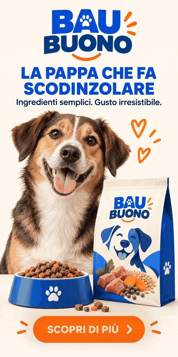 Pubblicità Pagina